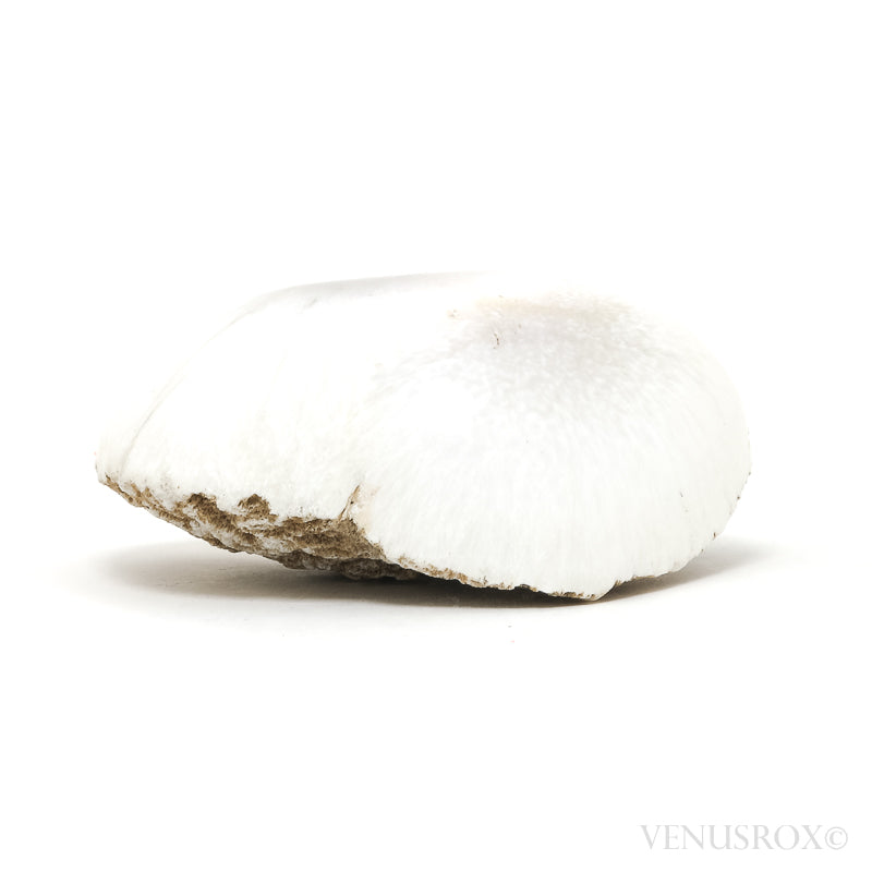 Scolecite Polished/Natural Crystal from India | Venusrox