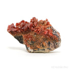 Vanadinite on Matrix Natural Cluster from Mibladen, Midelt, Meknes-Tafilalet Region, Morocco | Venusrox
