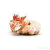 Vanadinite on Barite & Matrix Natural Specimen from Mibladen, Midelt, Meknes-Tafilalet Region, Morocco | Venusrox