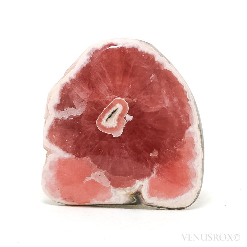 Rhodochrosite Polished/Natural Crystal from Argentina | Venusrox