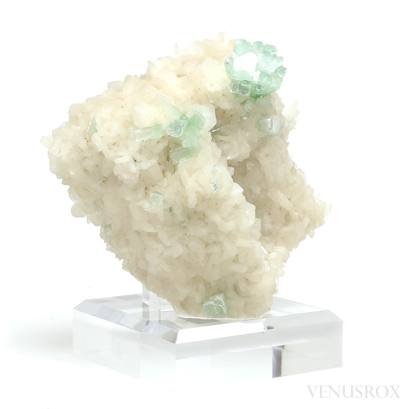 Green Apophyllite & Stilbite on Matrix Cluster from Lonavala, Pune District, Maharashtra, India mounted on a bespoke stand | Venusrox