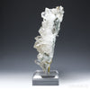 Golden Rutilated Himalayan Chlorite Quartz Natural Cluster with Anatase from the Meru Peak Foot Hills, Garhwal, Uttarakhand, Indian Himalayas, mounted on a bespoke stand | Venusrox