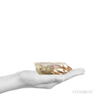 Amphibole Quartz Polished/Natural Point from Brazil | Venusrox