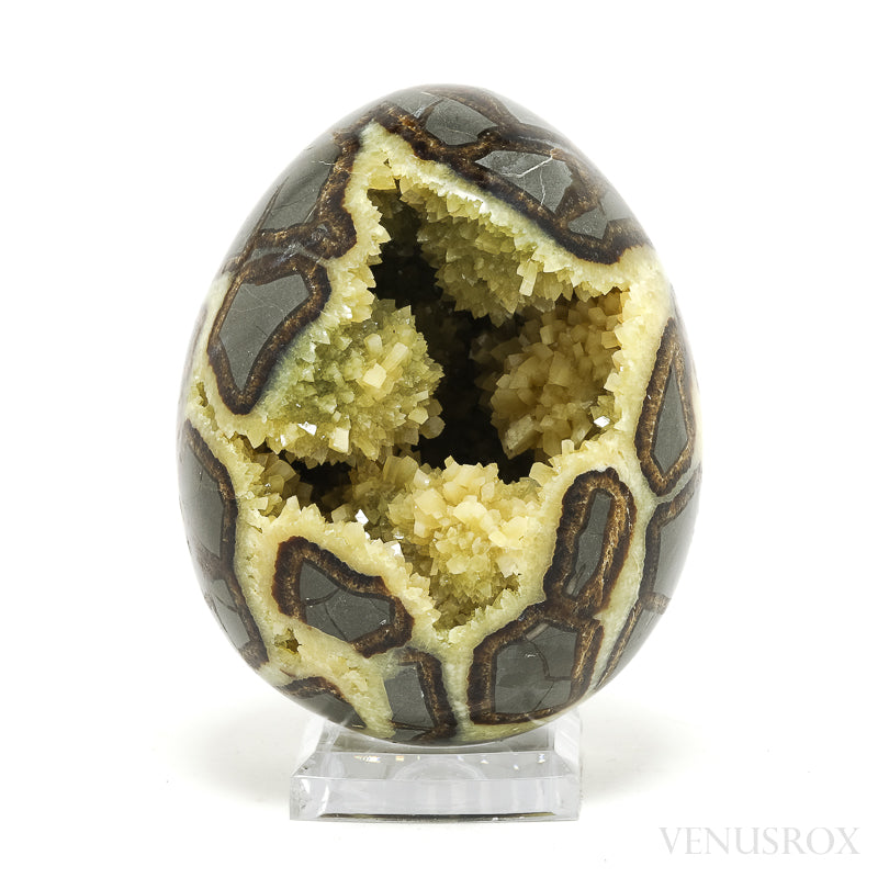 Septarian Geode Egg from Utah, USA | Venusrox