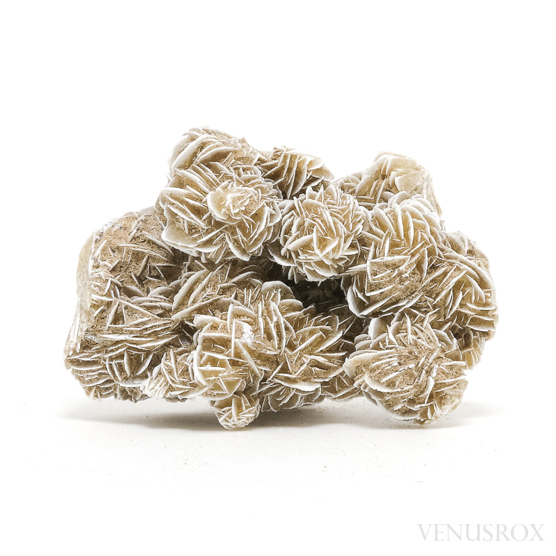Desert Rose Natural Cluster from Mexico | Venusrox