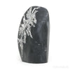 Chrysanthemum Stone from China | Venusrox