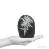 Chrysanthemum Stone from China | Venusrox