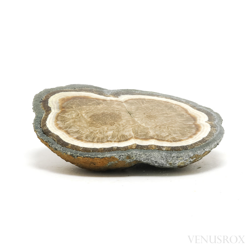 Barite with Marcasite Part Polished/Part Natural Crystal from the Lubin Mine, Silezia, Poland | Venusrox