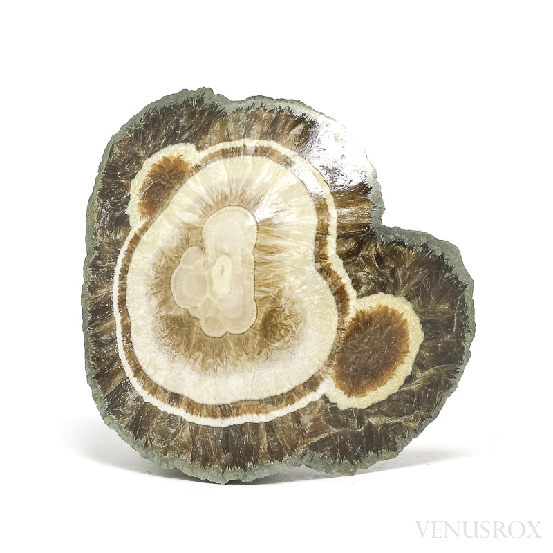 Barite with Marcasite Part Polished/Part Natural Crystal from the Lubin Mine, Silezia, Poland | Venusrox