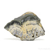 Schalenblende Part Polished/Part Natural Crystal from Olkusz, Poland | Venusrox