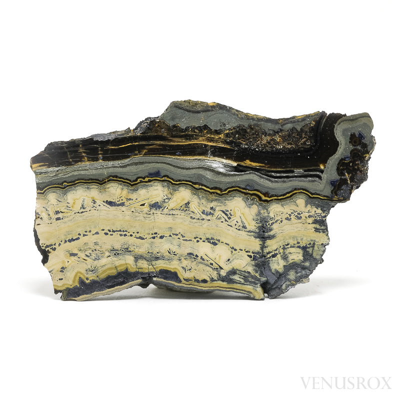 Schalenblende Part Polished/Part Natural Crystal from Olkusz, Poland | Venusrox