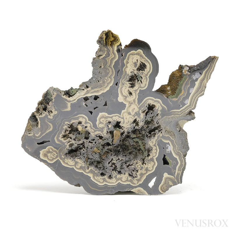 Schalenblende Part Polished/Part Natural Crystal from Olkusz, Poland | Venusrox