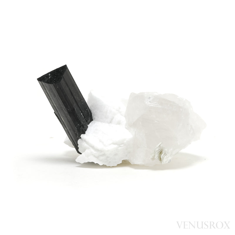 Black/Brown (Dravite) Tourmaline with Albite, Quartz Mica Natural Cluster from Skardu, Gilgit-Baltistan, Pakistan | Venusrox