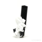 Black/Brown (Dravite) Tourmaline with Albite, Quartz Mica Natural Cluster from Skardu, Gilgit-Baltistan, Pakistan | Venusrox