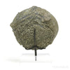 Pyrite Half Nodule from Le Mans, Sarthe, France mounted on a bespoke stand | Venusrox