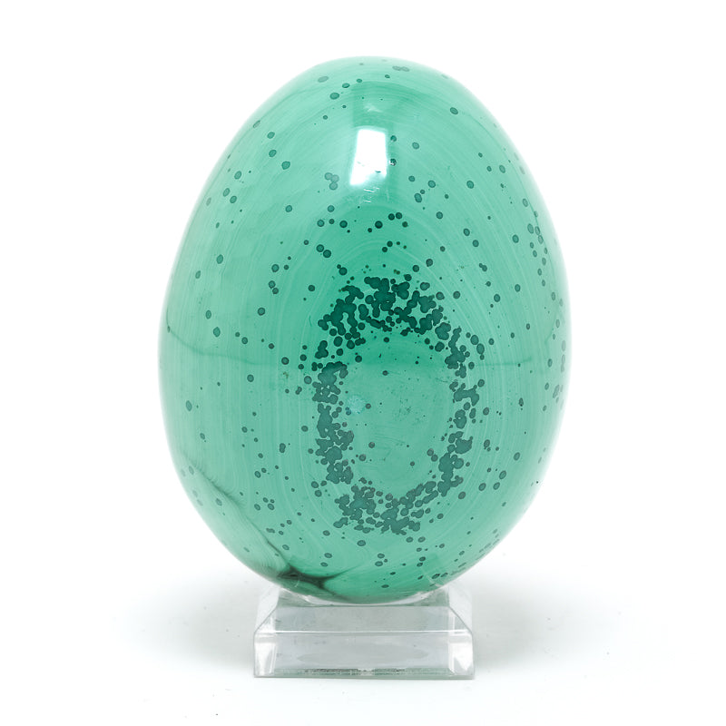 Malachite Polished Egg from the Democratic Republic of Congo | Venusrox