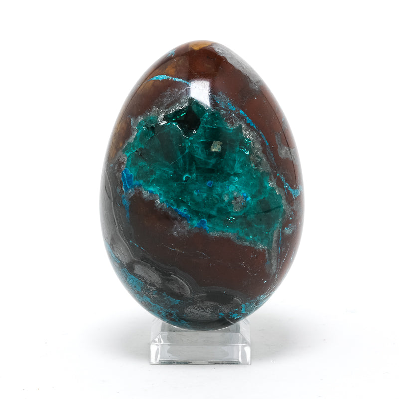 Dioptase with Shattuckite & Matrix Polished Egg from the Democratic Republic of Congo | Venusrox