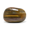 Tigers Eye Polished Crystal from South Africa | Venusrox