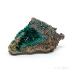 Dioptase on Matrix Natural Cluster from Renéville, Kindanba District, Pool Department, Demacratic Republic of the Congo | Venusrox