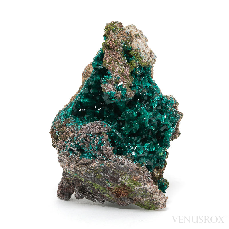 Dioptase on Matrix Natural Cluster from Renéville, Kindanba District, Pool Department, Demacratic Republic of the Congo | Venusrox