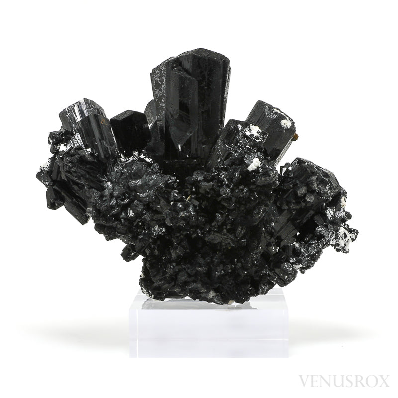 Black Tourmaline Natural Cluster from the Erongo Mountains, Namibia, mounted on a bespoke stand | Venusrox