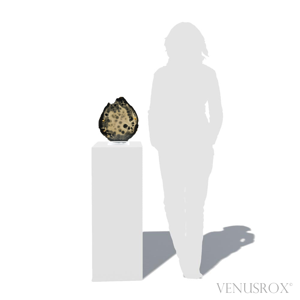 Agate Polished Slice from Brazil, mounted on a bespoke stand | Venusrox
