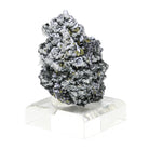 Galena with Chalcopyrite, Sphalerite & Galena Natural Cluster from Bulgaria  | Venusrox