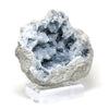 Blue Celestite on Matrix Natural Cluster mounted on a bespoke stand from Madagascar | Venusrox