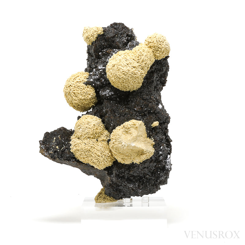 Stellar Beam Calcite with Sphalerite & Dolomite Natural Cluster from the Elmwood Mine, Tennessee, USA, mounted on a bespoke stand | Venusrox