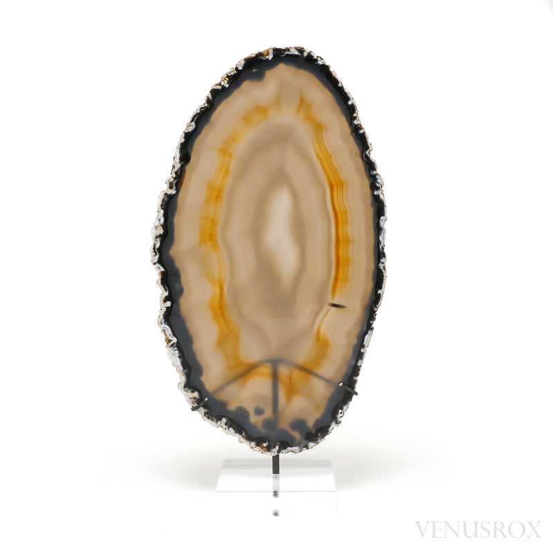 Agate Polished Slice from Brazil, mounted on a bespoke stand | Venusrox