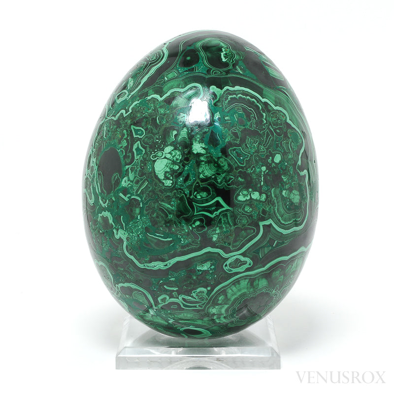 Malachite Polished Egg from the Democratic Republic of Congo | Venusrox