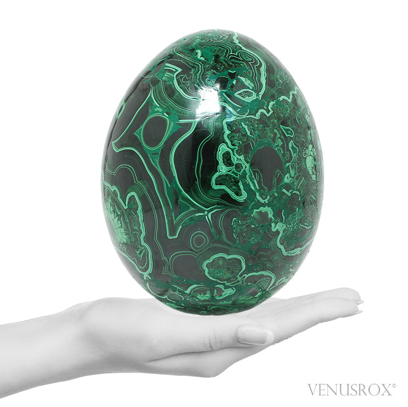Malachite Polished Egg from the Democratic Republic of Congo | Venusrox
