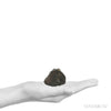 NWA Chondrite Meteorite Fragment from Sahara Desert, North-West Africa | Venusrox