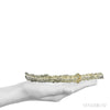 Fulgurite from North Africa | Venusrox