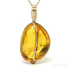 Natural Baltic Amber with Insects Polished Crystal Pendant | Venusrox