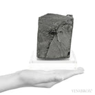 Elite Shungite from Shunga, Karelia, Russia | Venusrox