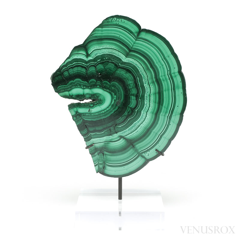 Malachite Polished Slice from the Democratic Republic of the Congo, mounted on a bespoke stand | Venusrox