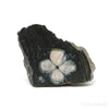 Chiastolite/Andalusite Polished/Natural Crystal from Boal, Asturias, Spain | Venusrox