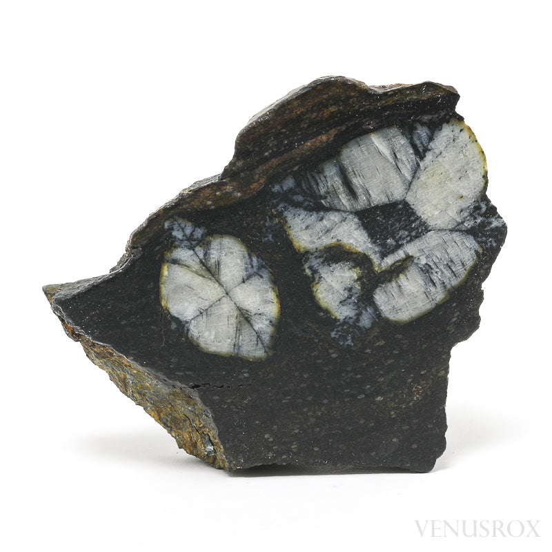 Chiastolite/Andalusite Polished/Natural Crystal from Boal, Asturias, Spain | Venusrox