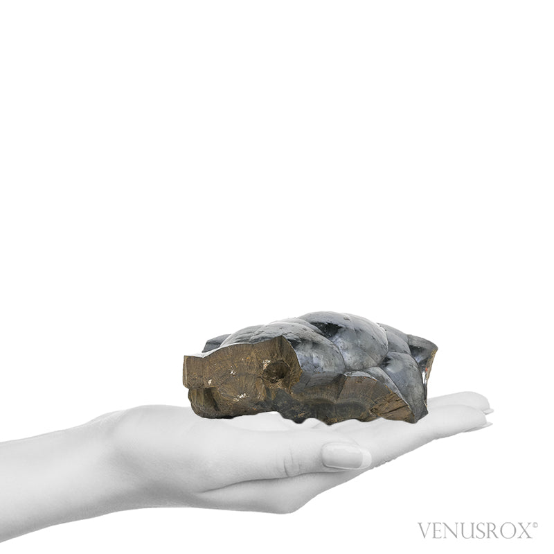 Hematite Botryoidal Natural Crystal from Morocco | Venusrox