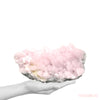 Pink Mangano Calcite with Matrix Natural Cluster from the Androvo Mine, Zlatograd, Bulgaria | Venusrox