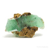 Chrysoprase Polished/Natural Crystal from the Szklary Chrysoprase Mine, Poland | Venusrox
