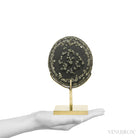 Natural Pyrite Concretion from China Mounted on a bespoke stand | Venusrox