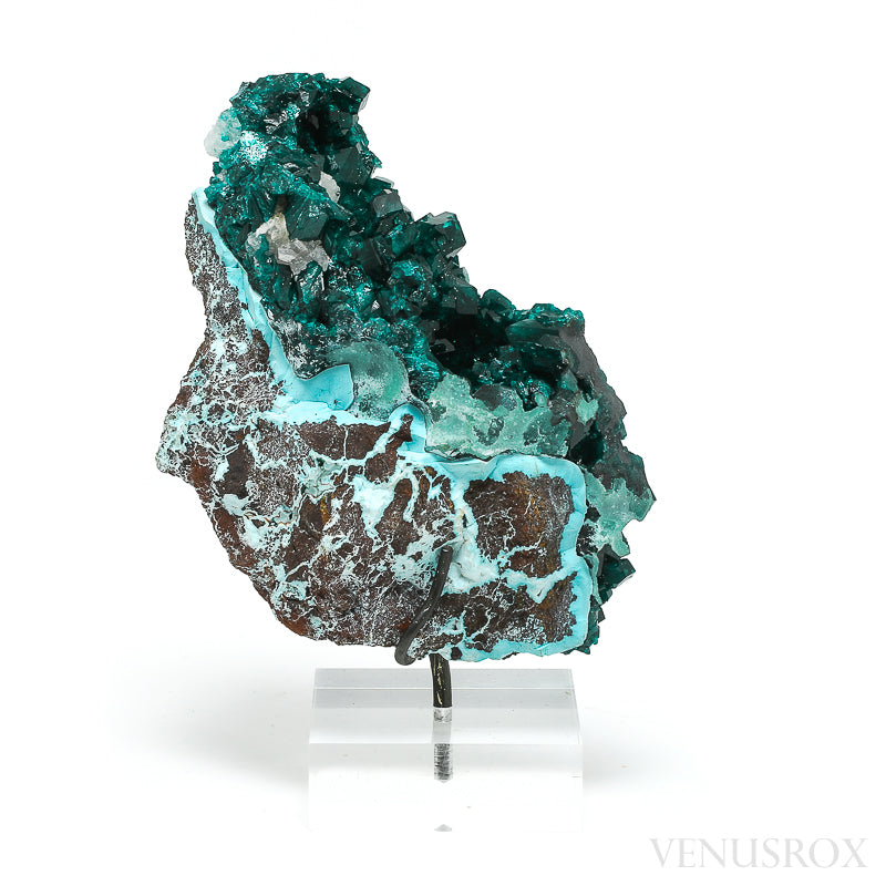 Dioptase with Chrysocolla & Calcite on Matrix Natural Cluster from Renéville, Kindanba District, Pool Department, Demacratic Republic of the Congo mounted on a bespoke stand | Venusrox