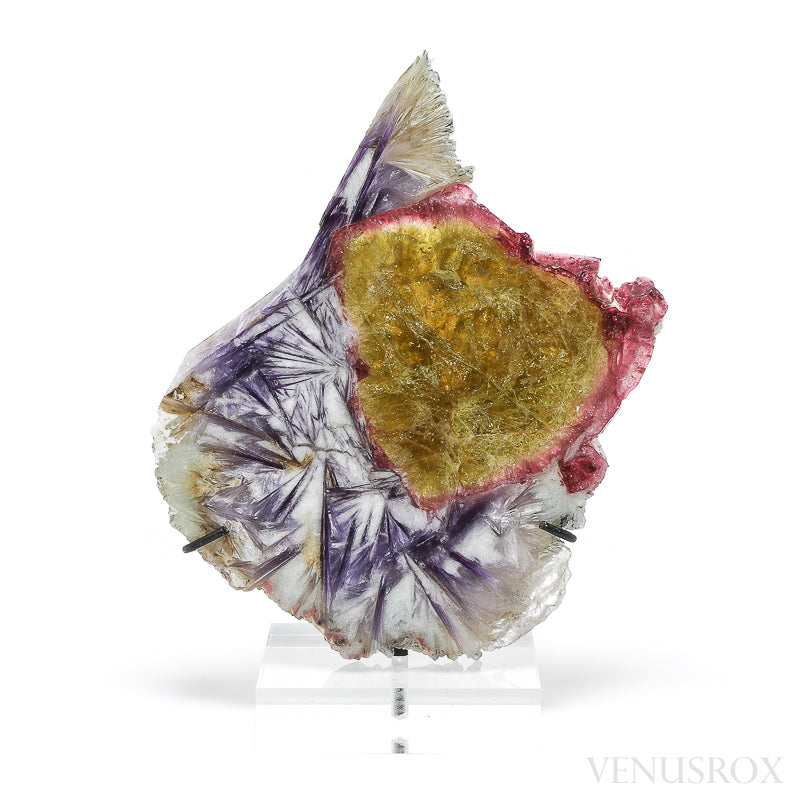 Pink & Yellow Tourmaline with Lepidolite & Albite Polished/Natural Slice from Russia mounted on a bespoke stand | Venusrox