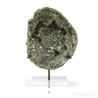 Natural Pyrite Half Nodule from Le Mans, Sarthe, France mounted on a bespoke stand | Venusrox