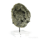 Natural Pyrite Half Nodule from Le Mans, Sarthe, France mounted on a bespoke stand | Venusrox