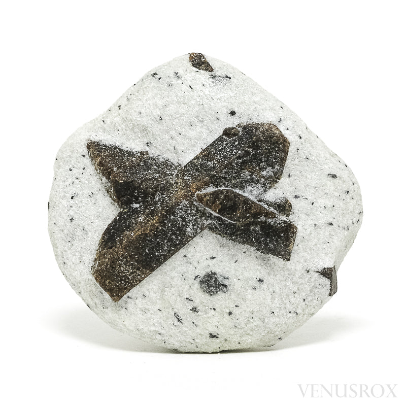 Staurolite/Fairy Cross Natural Crystal from Pestsovye Keivy, Keivy Mountains, Kola Peninsula, Northern Region, Russia | Venusrox