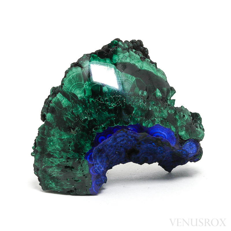 Azurite and Malachite Polished Crystal from the Kamenushinskoe Copper deposit, Salairsky mine, Guryevsky area, Kemerovo Oblast, Russia | Venusrox
