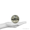 Pyrite Geode Sphere from Peru | Venusrox